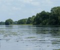 Donau bei Joshofen
